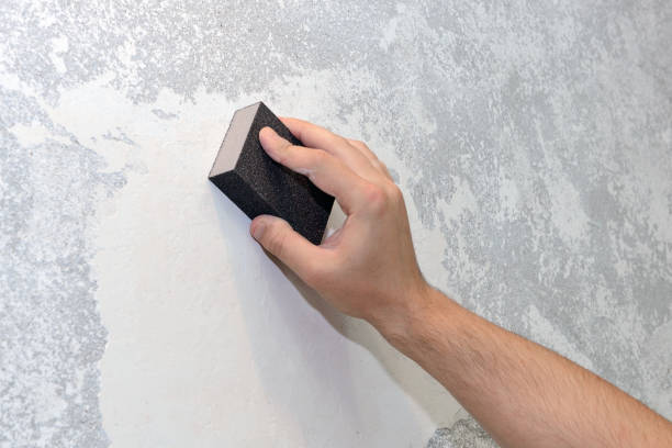 Best Mold-Related Health Consultation  in Stone Ridge, NY