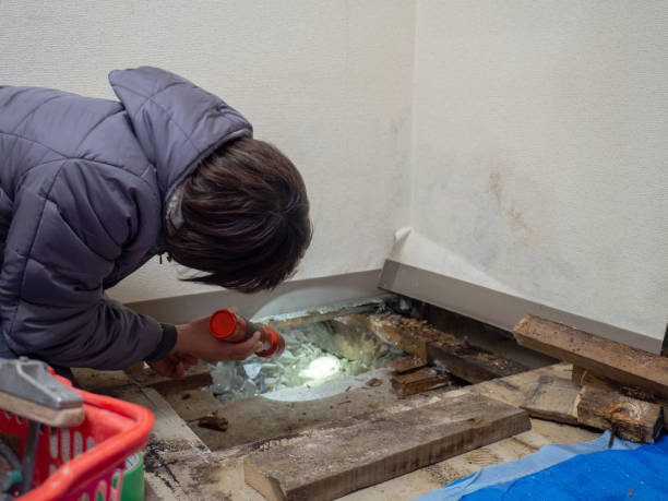 Best Asbestos and Lead Testing During Mold Inspection  in Stone Ridge, NY