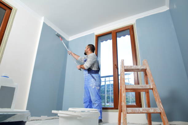 Best Mold Documentation for Insurance Claims  in Stone Ridge, NY