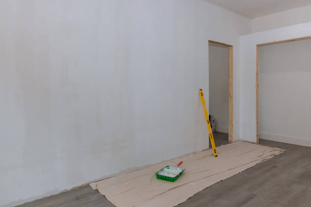 Professional Mold Removal in Stone Ridge, NY